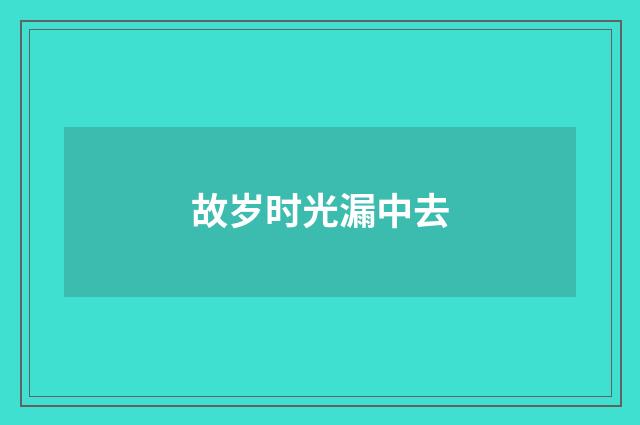 故岁时光漏中去