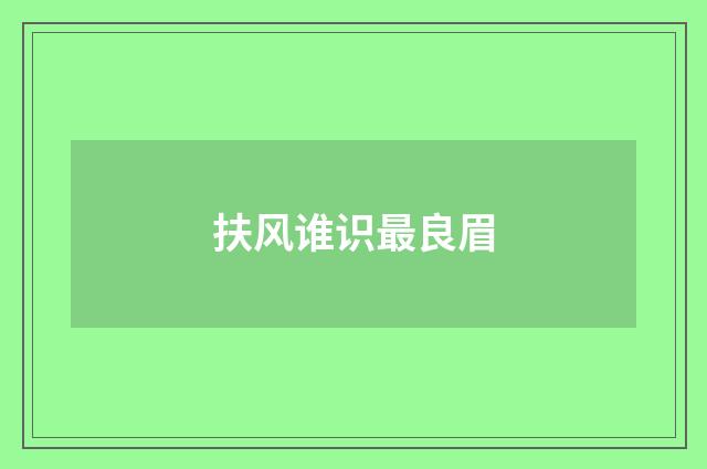 扶风谁识最良眉