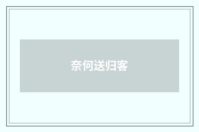 奈何送归客
