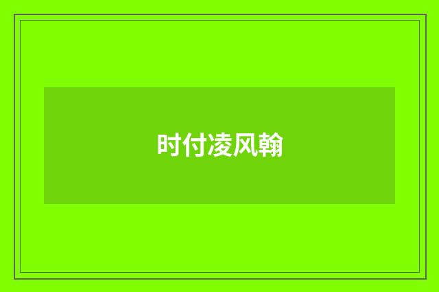 时付凌风翰