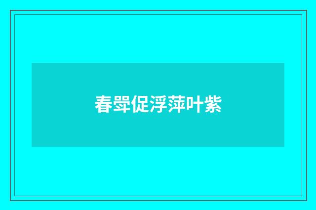 春斝促浮萍叶紫