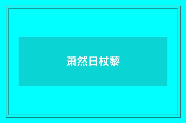 萧然日杖藜