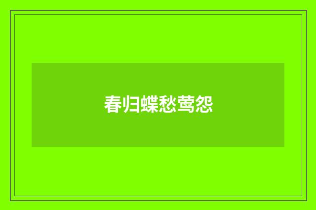 春归蝶愁莺怨