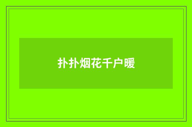扑扑烟花千户暖