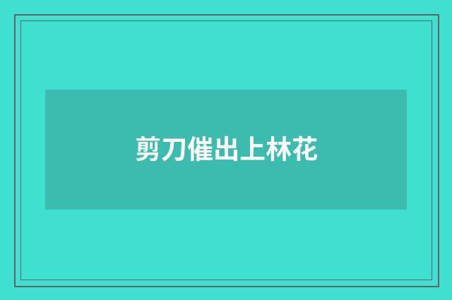 剪刀催出上林花