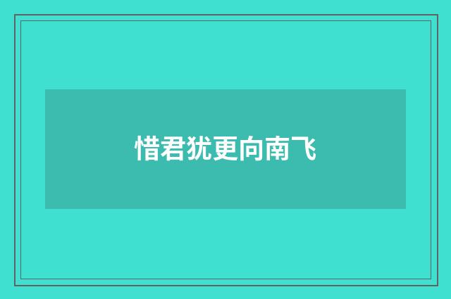 惜君犹更向南飞