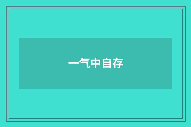 一气中自存