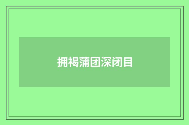 拥褐蒲团深闭目