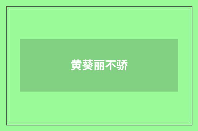 黄葵丽不骄