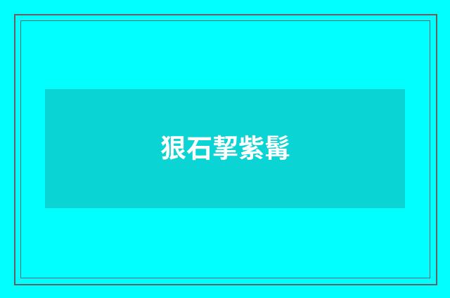 狠石挈紫髯