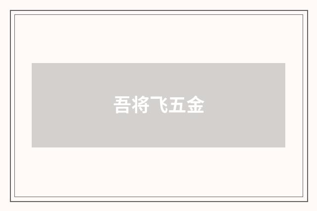 吾将飞五金