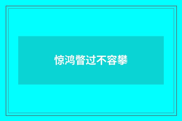 惊鸿瞥过不容攀