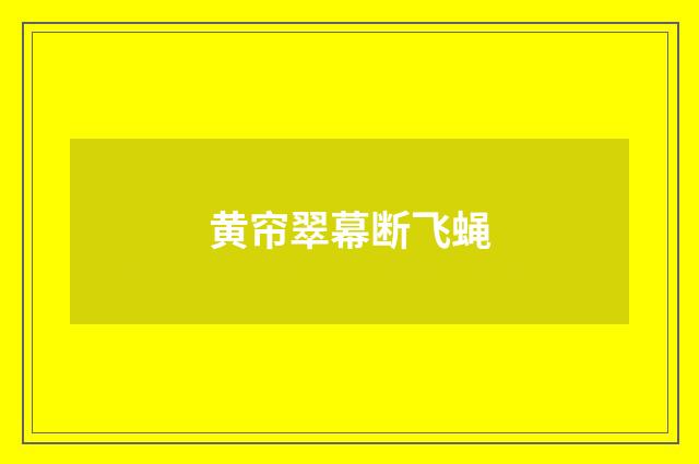 黄帘翠幕断飞蝇