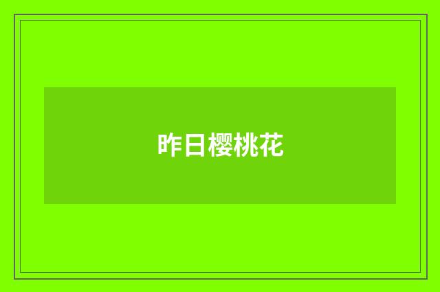 昨日樱桃花