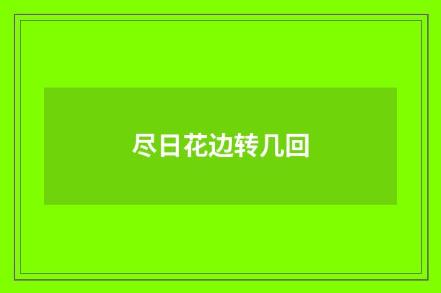 尽日花边转几回