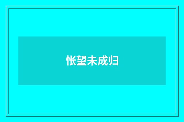 怅望未成归