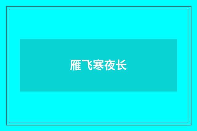雁飞寒夜长