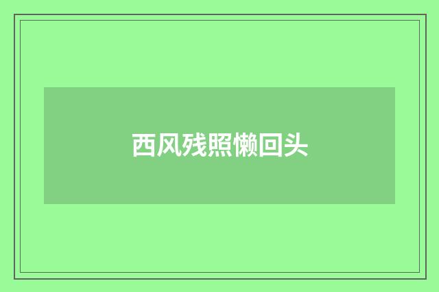西风残照懒回头