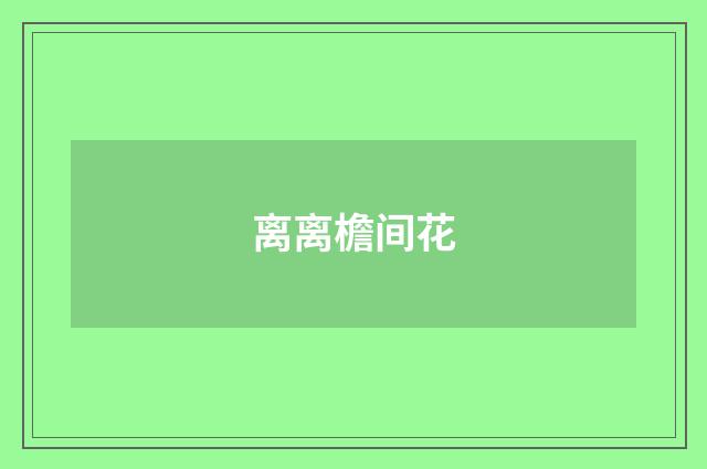 离离檐间花