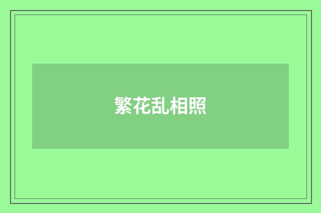 繁花乱相照