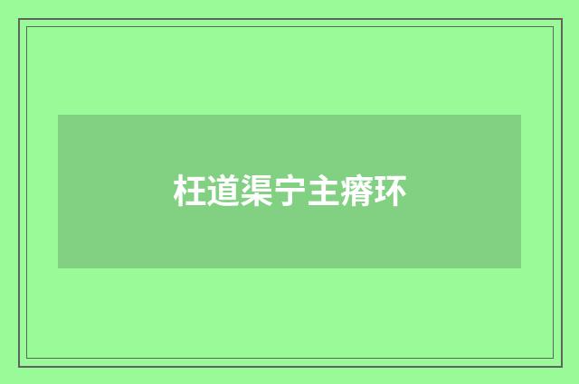 枉道渠宁主瘠环