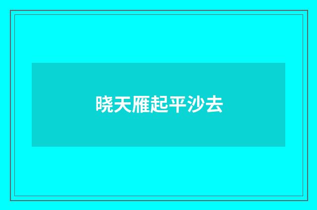 晓天雁起平沙去