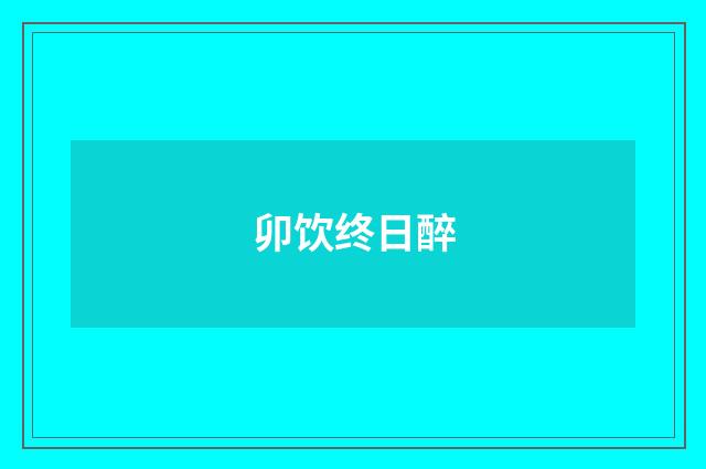 卯饮终日醉