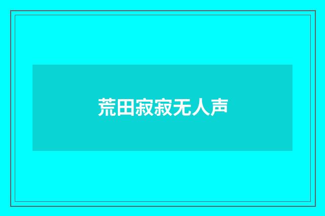 荒田寂寂无人声