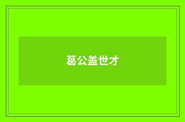 葛公盖世才