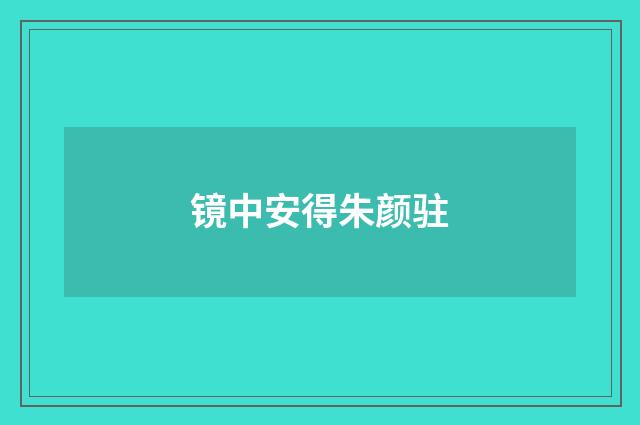 镜中安得朱颜驻