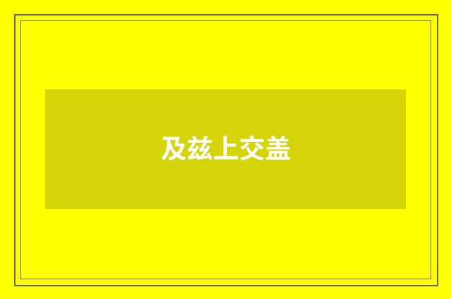 及兹上交盖