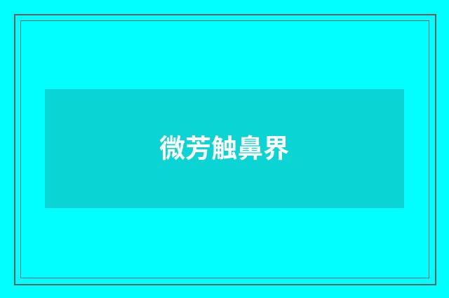 微芳触鼻界