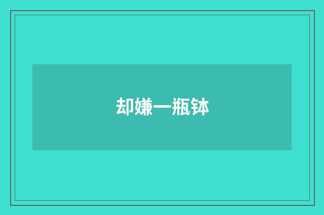 却嫌一瓶钵
