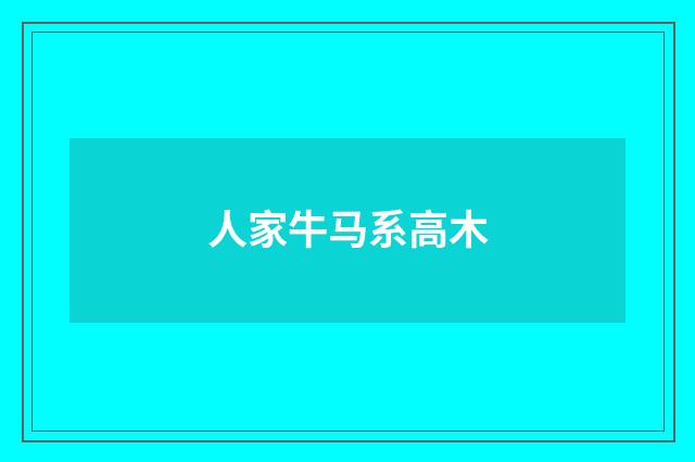 人家牛马系高木