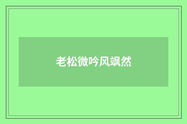 老松微吟风飒然