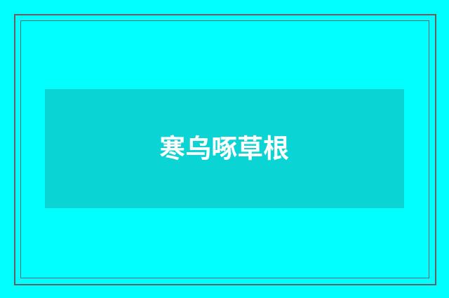 寒乌啄草根