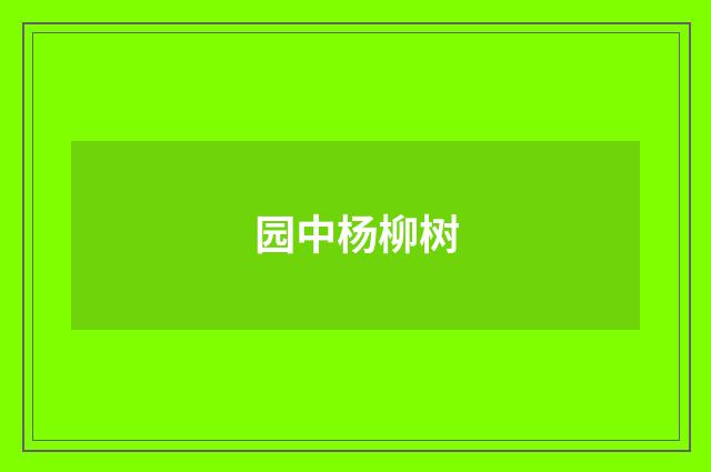 园中杨柳树