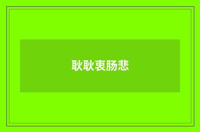耿耿衷肠悲