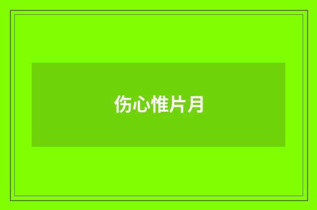 伤心惟片月