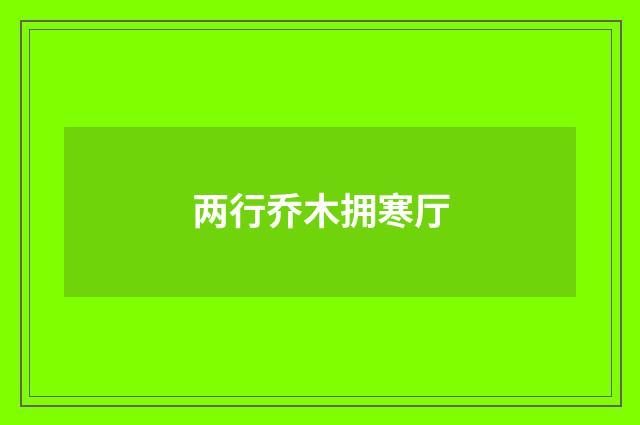 两行乔木拥寒厅
