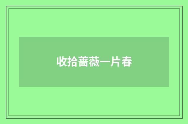 收拾蔷薇一片春