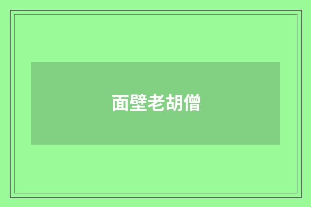 面壁老胡僧