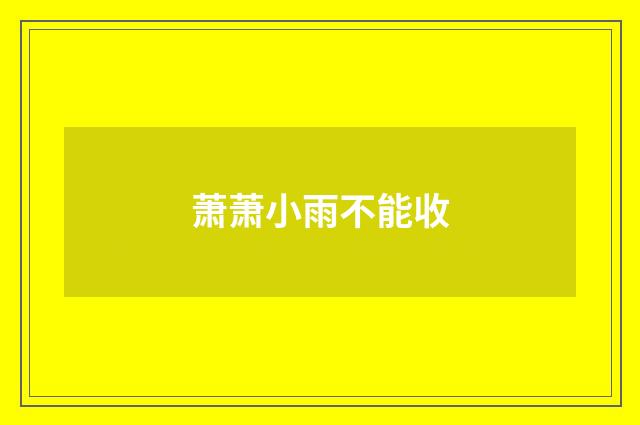 萧萧小雨不能收