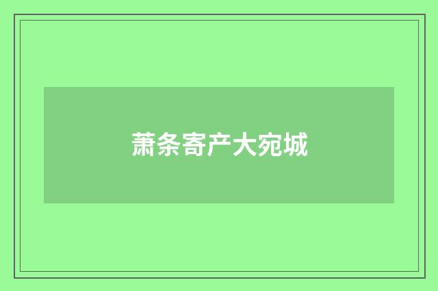 萧条寄产大宛城