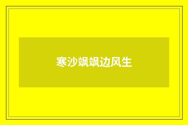 寒沙飒飒边风生