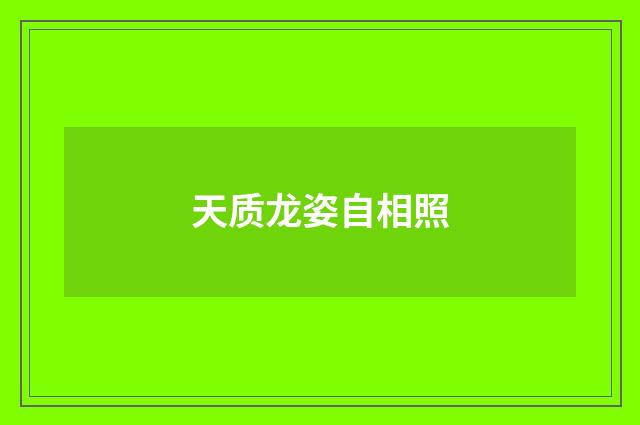 天质龙姿自相照