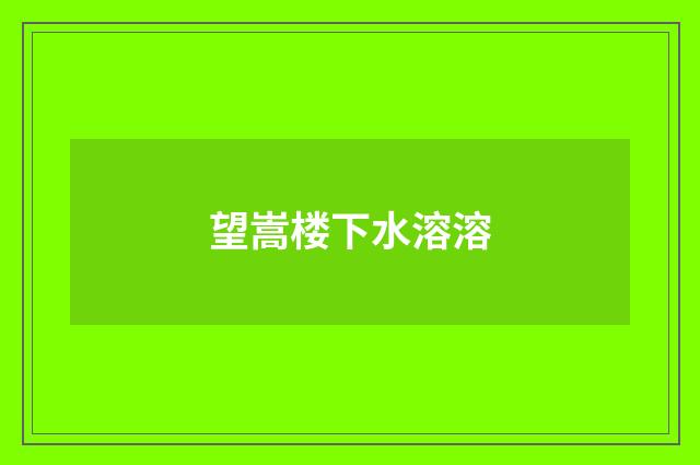 望嵩楼下水溶溶