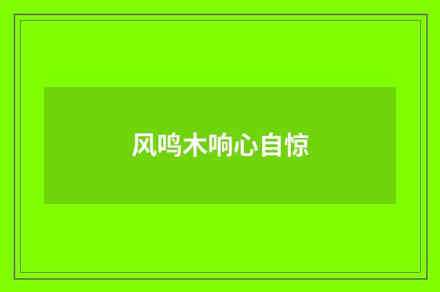 风鸣木响心自惊
