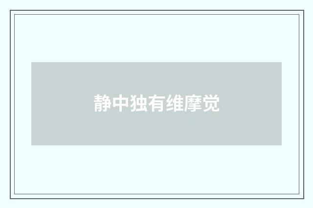 静中独有维摩觉