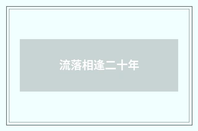 流落相逢二十年